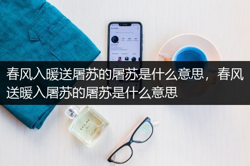 春风入暖送屠苏的屠苏是什么意思，春风送暖入屠苏的屠苏是什么意思